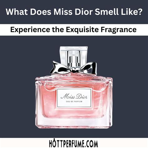 parfum d été dior|what does miss Dior perfume smell like.